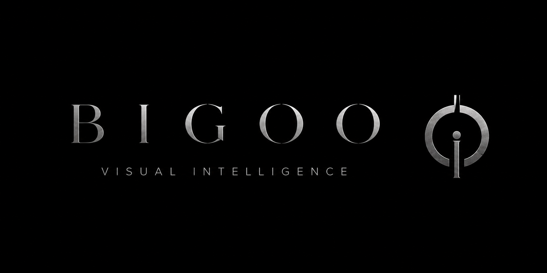 BIGOO Visual Intelligence